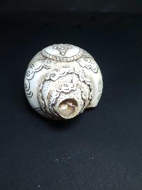 Tibetan Conch Shell With Vajrasattva [hand Carved]