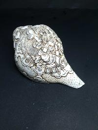 thumb1-Conch shell-21788