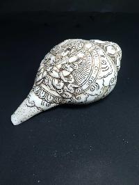 thumb2-Conch shell-21788