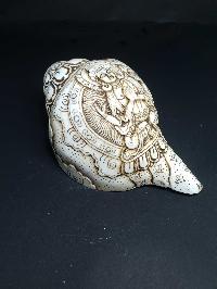 thumb1-Conch shell-21791