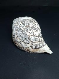 thumb1-Conch shell-21793