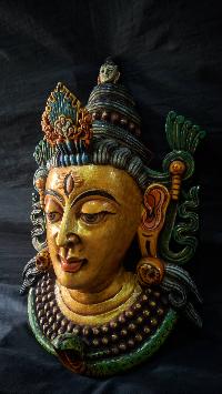 thumb1-shiva-22021