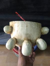 thumb4-Citipati-22034