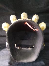 thumb5-Citipati-22034