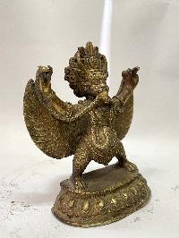 thumb1-Garuda-22387