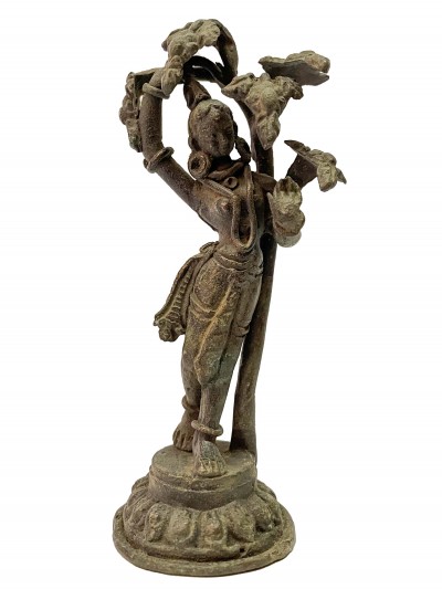 Maya Devi-22438