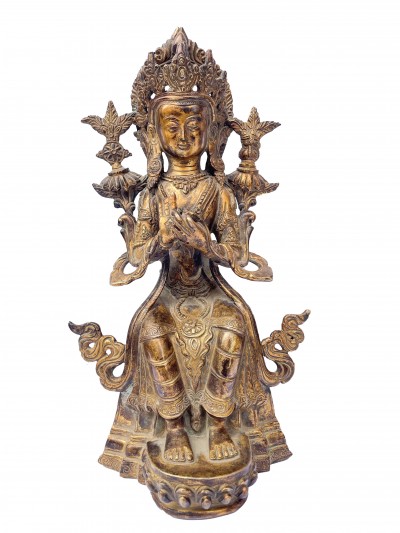 Maitreya Buddha-22696