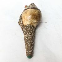 thumb2-Conch shell-23390