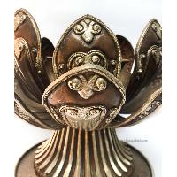 thumb3-Dhakya cup-23412
