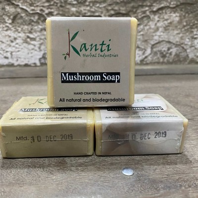 Herbal Soap-23832