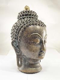 thumb1-Buddha-23867