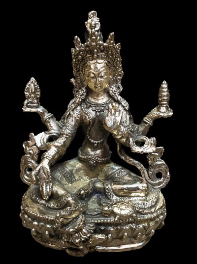 Lakshmi-24639