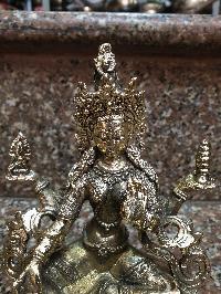 thumb2-Lakshmi-24639