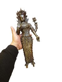 thumb5-Lakshmi-25235