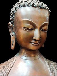 thumb2-Buddha-25307