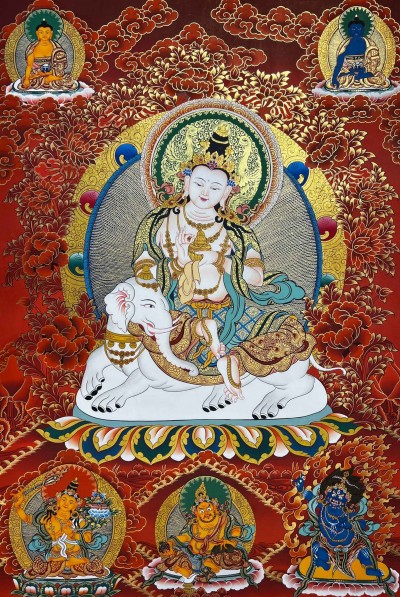 Samantabhadra-25332