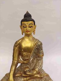thumb1-Shakyamuni Buddha-26149