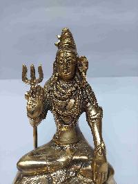 thumb1-shiva-26179