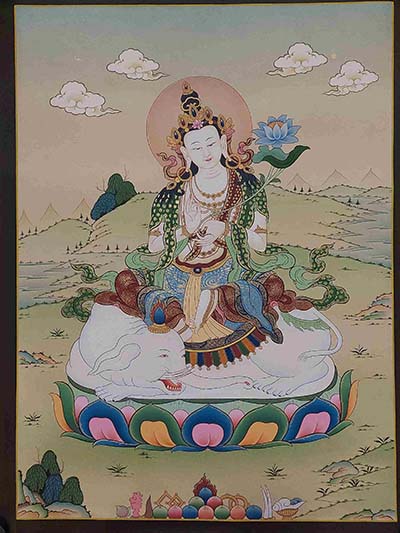 Samantabhadra-26415