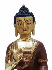thumb1-Amoghasiddhi Buddha-27160