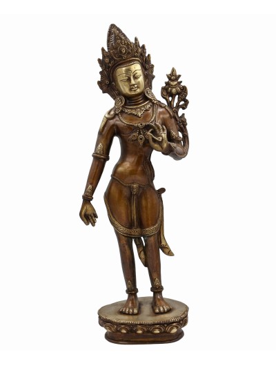 Amoghpasa Lokeshvara-27811