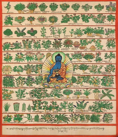 Medical Thangka-27849