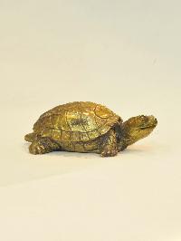 thumb1-Turtle-28094