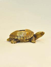 thumb1-Turtle-28095