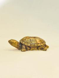 thumb2-Turtle-28095