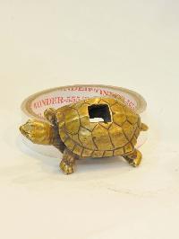 thumb4-Turtle-28095