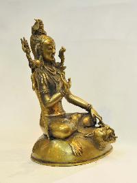 thumb1-shiva-28107