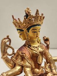 thumb4-Vasudhara-28223