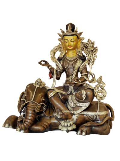 Samantabhadra-28268