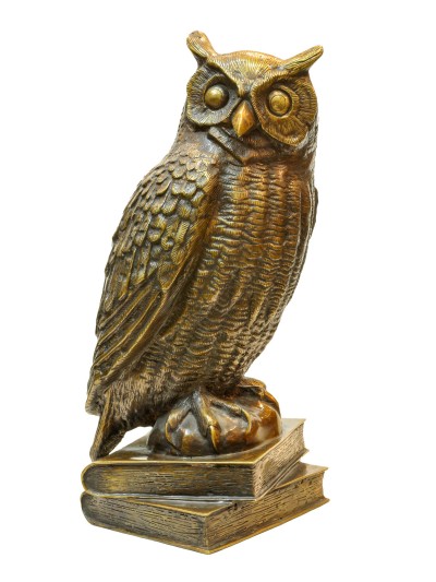 Owl-28381
