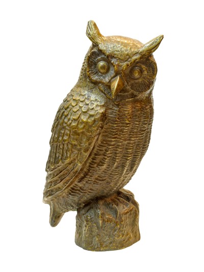 Owl-28382