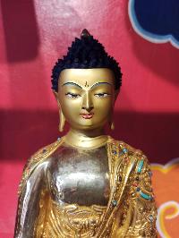 thumb1-Shakyamuni Buddha-28550