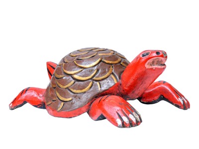 Tortoise-28684