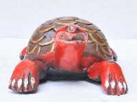 thumb1-Tortoise-28684