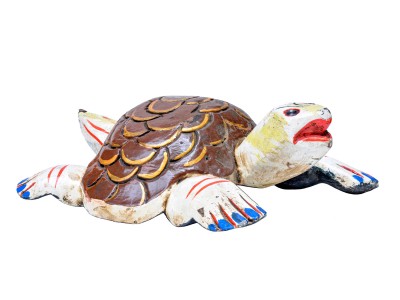 Tortoise-28686