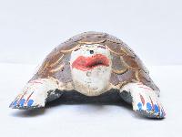 thumb2-Tortoise-28686