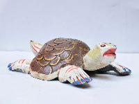 thumb3-Tortoise-28686