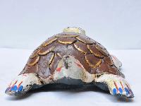 thumb4-Tortoise-28686