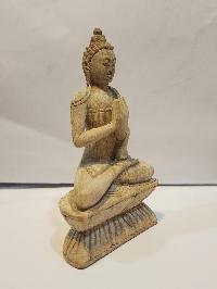 thumb2-Vairochana Buddha-28736