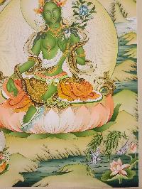 thumb3-Green Tara-29585