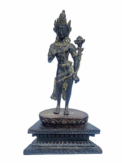 Padmapani Lokeshvara-29796