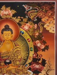 thumb2-Shakyamuni Buddha-30019