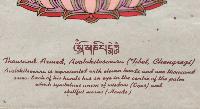 thumb2-Sahasrabhuja Avalokitesvara-30794
