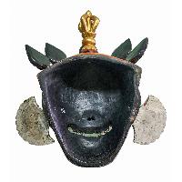 thumb3-Citipati-31611