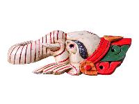 thumb3-Ganesh-31793