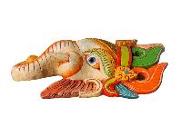 thumb2-Ganesh-31831